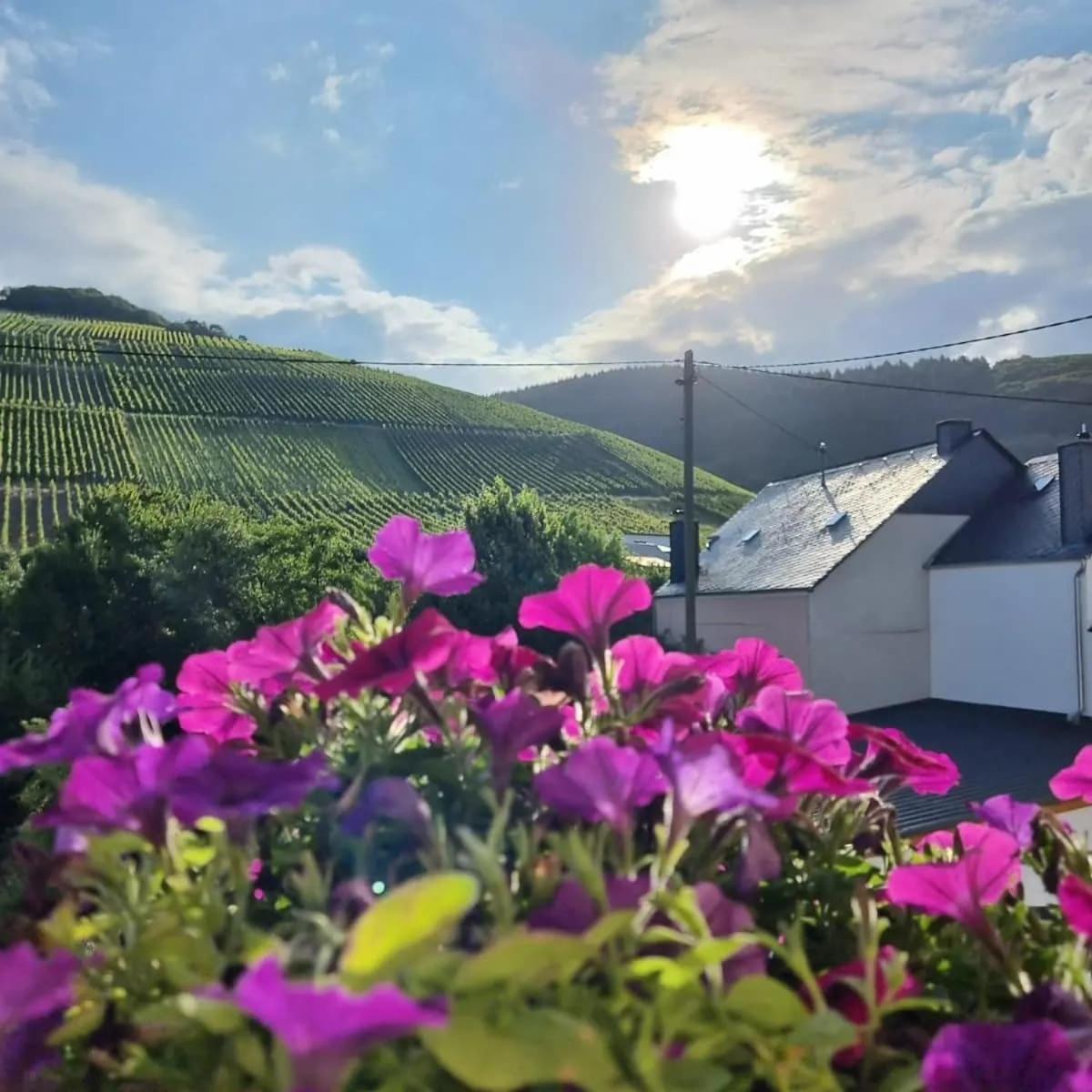 Gasthof Zur Grafschaft Veldenz Екстер'єр фото
